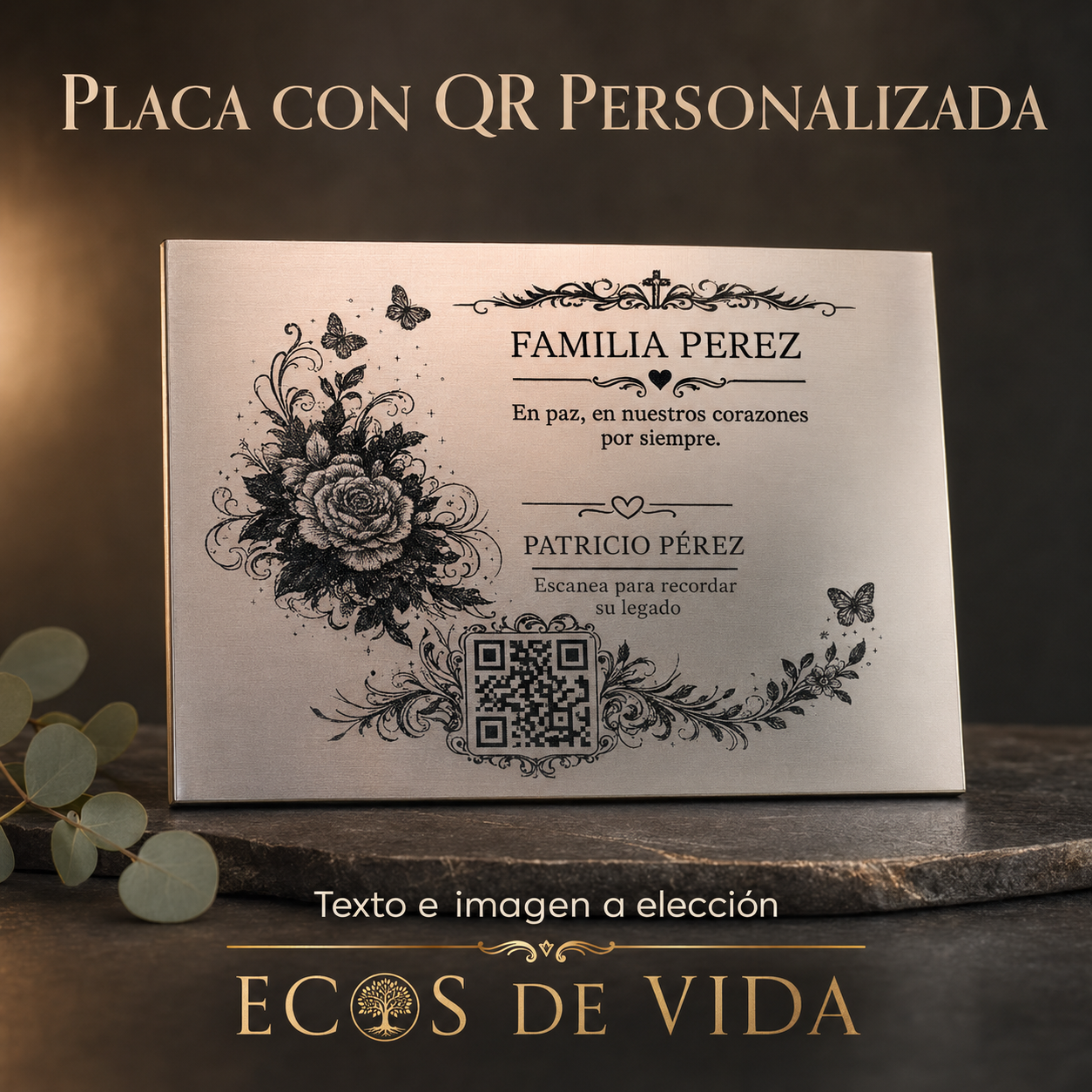 Placa Plateado-Negro